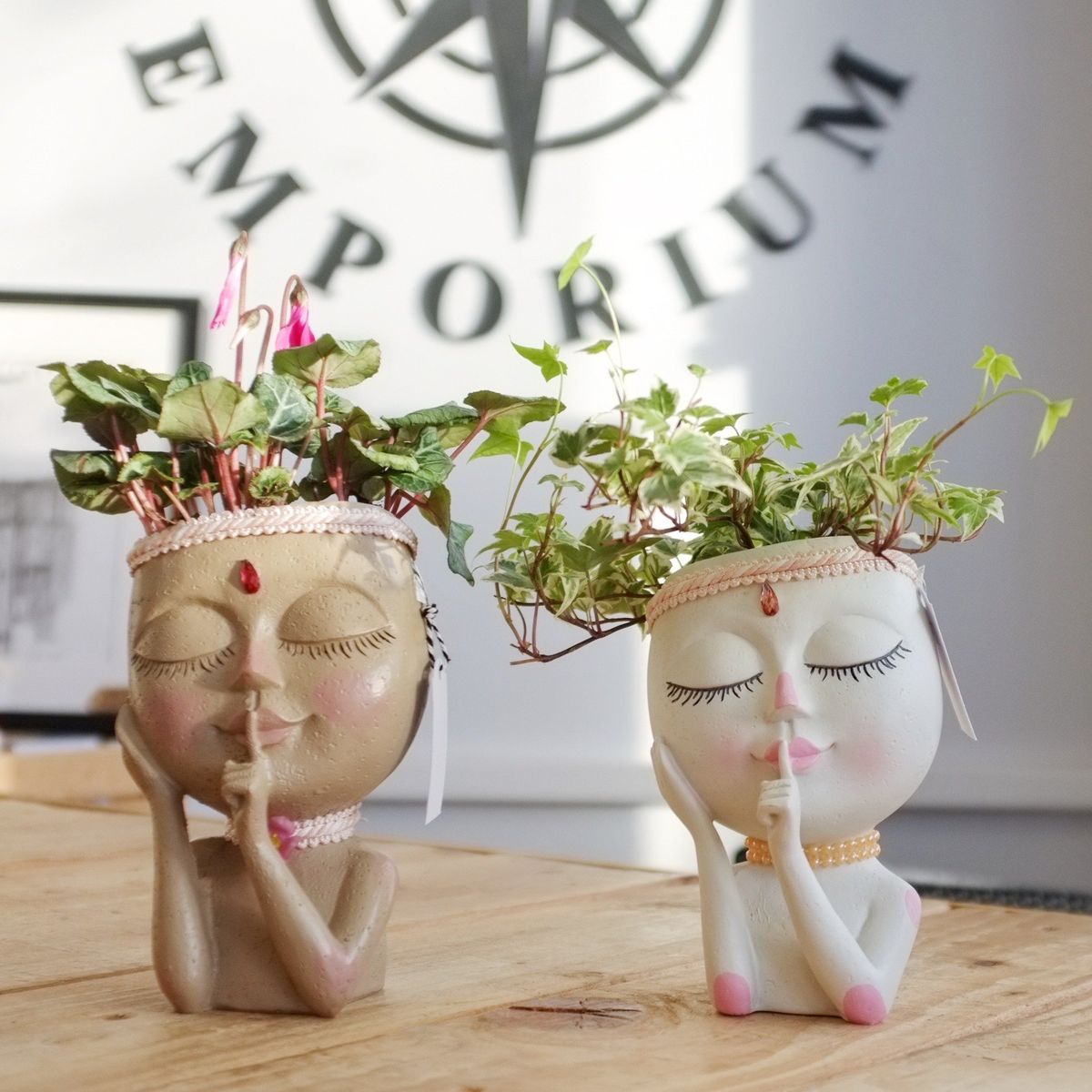 Tabletop Terrariums - Image 1
