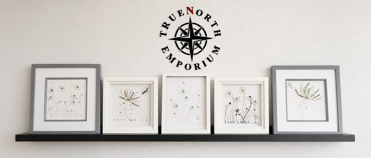 Pam Blacklock seaglass frames